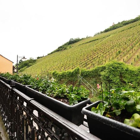 Alte Stadtvilla Am Weinberg 3 ترابن ترارباخ المظهر الخارجي الصورة